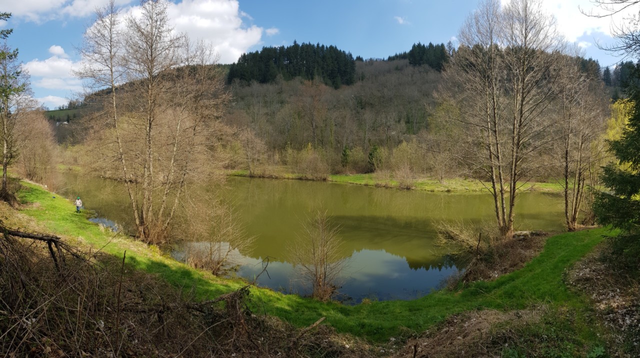 vu sur l'étang de pêche Lamure sur azergues