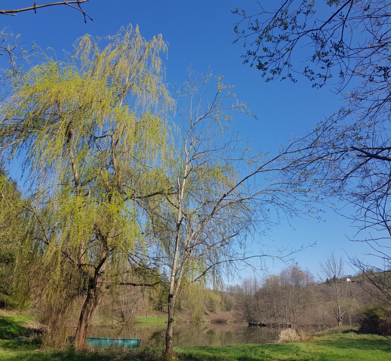 vu sur l'étang de pêche Lamure sur azergues