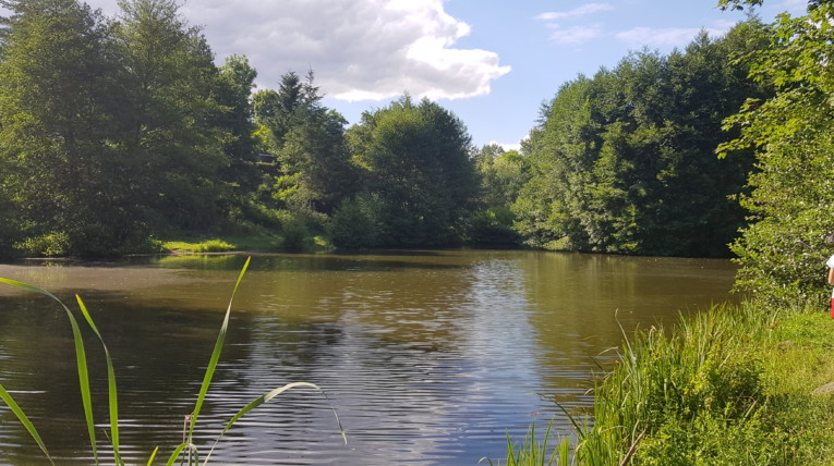 étang de pêche privée camping le lyzeron