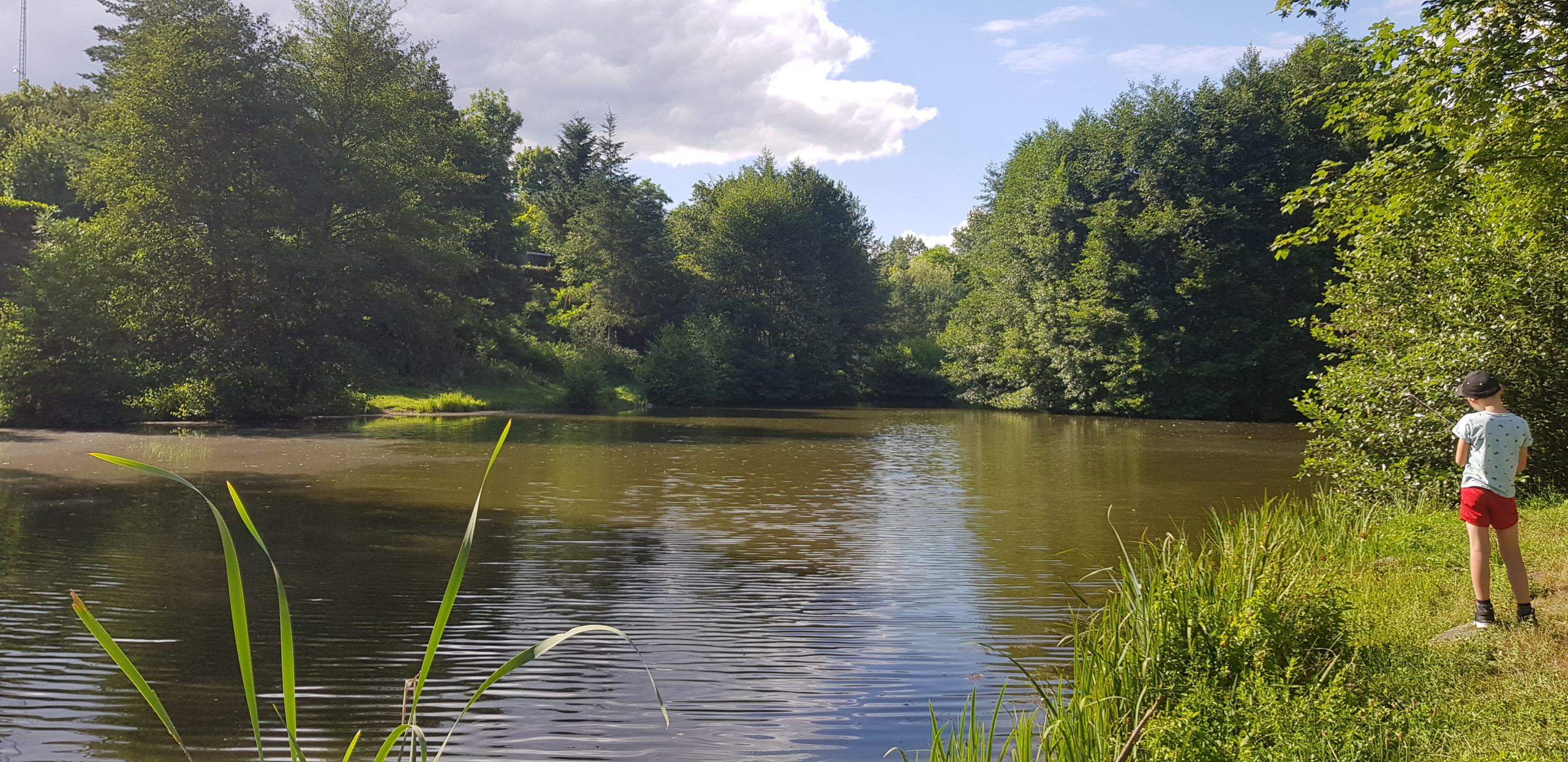 Etang de pêche du camping